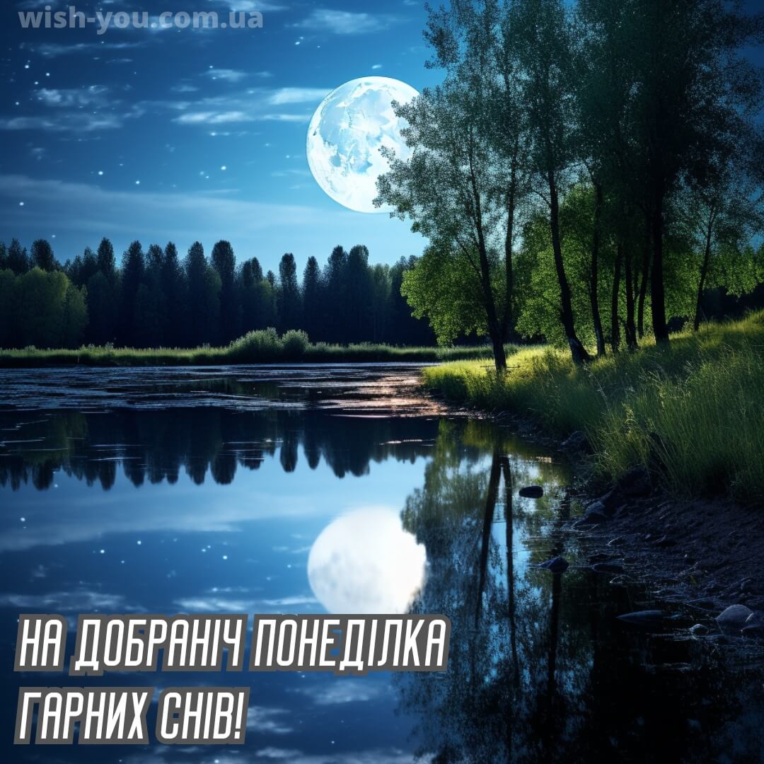 Нова картинка доброї ночі понеділка 11