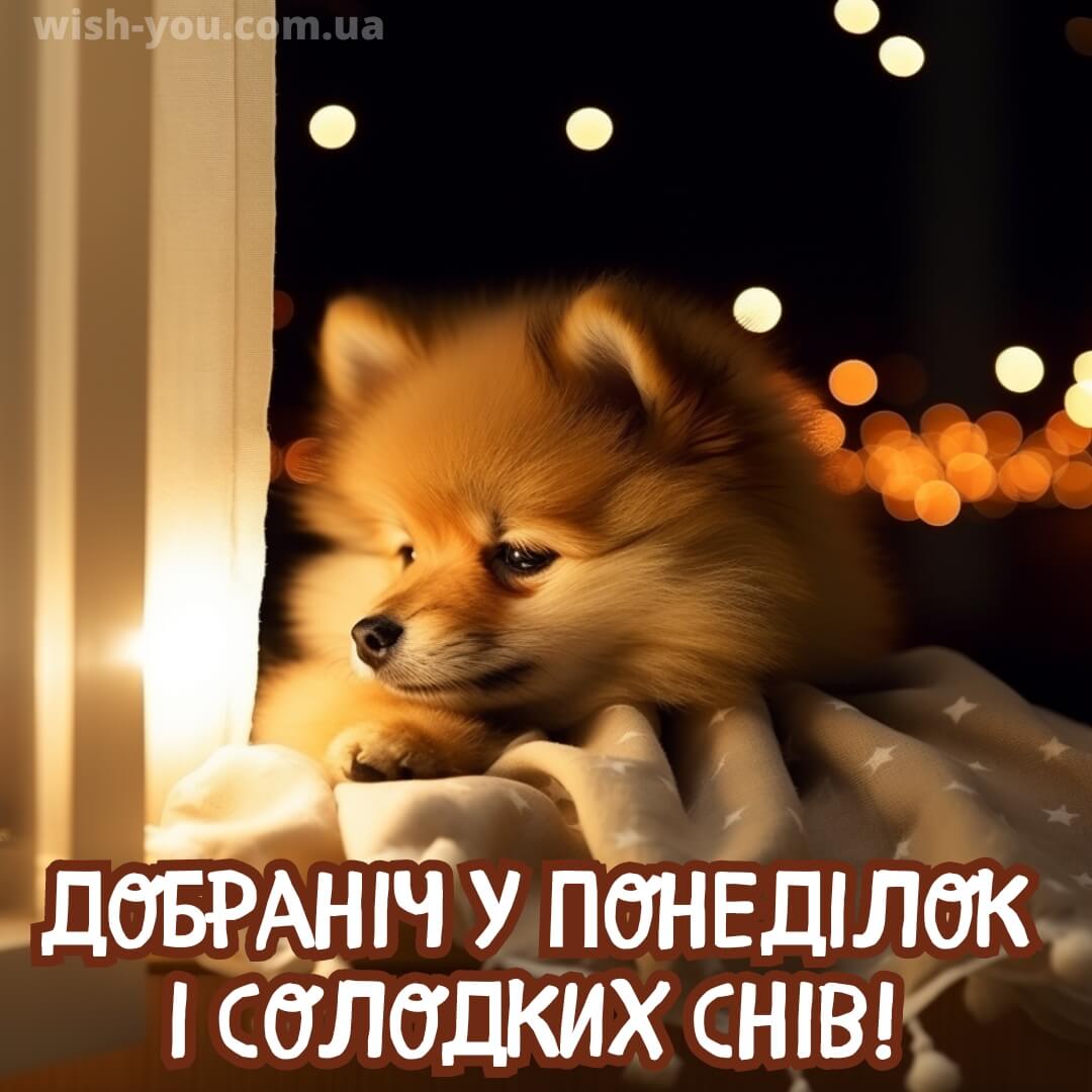 Нова картинка доброї ночі понеділка 13