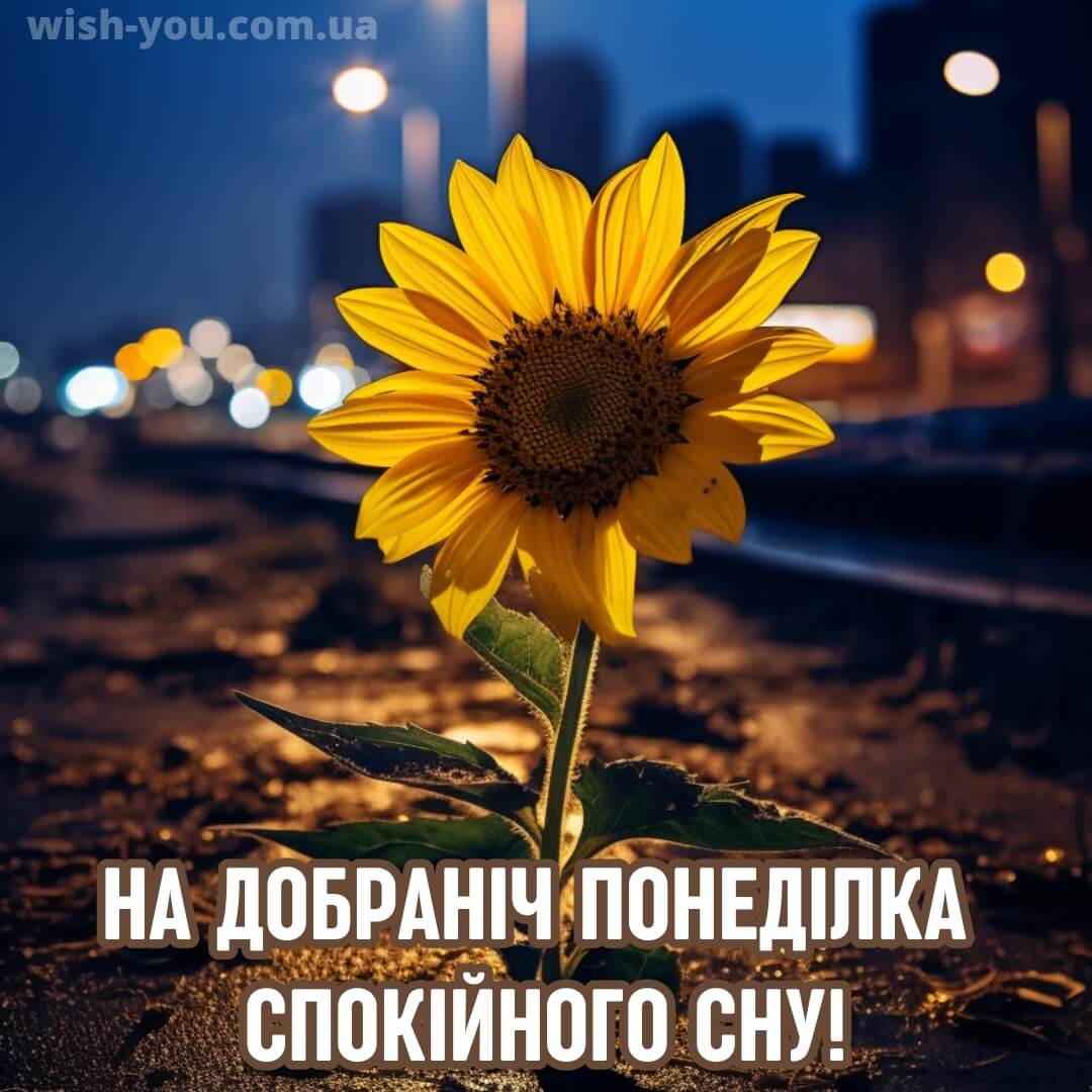 Нова картинка доброї ночі понеділка 14