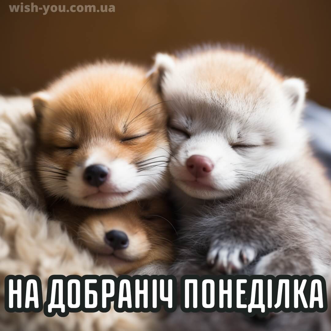 Нова картинка доброї ночі понеділка 16