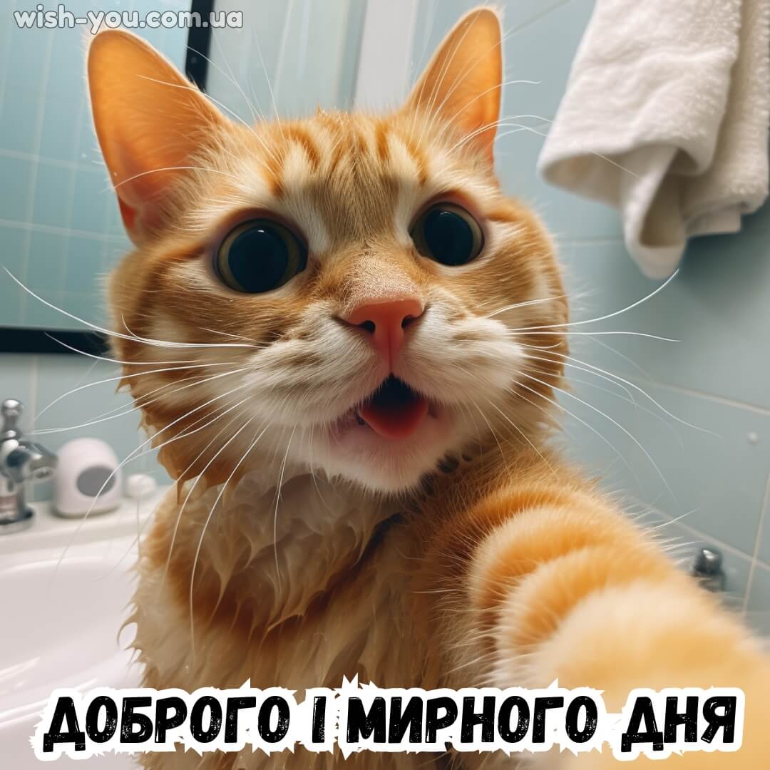 Нова картинка побажання доброго дня 1