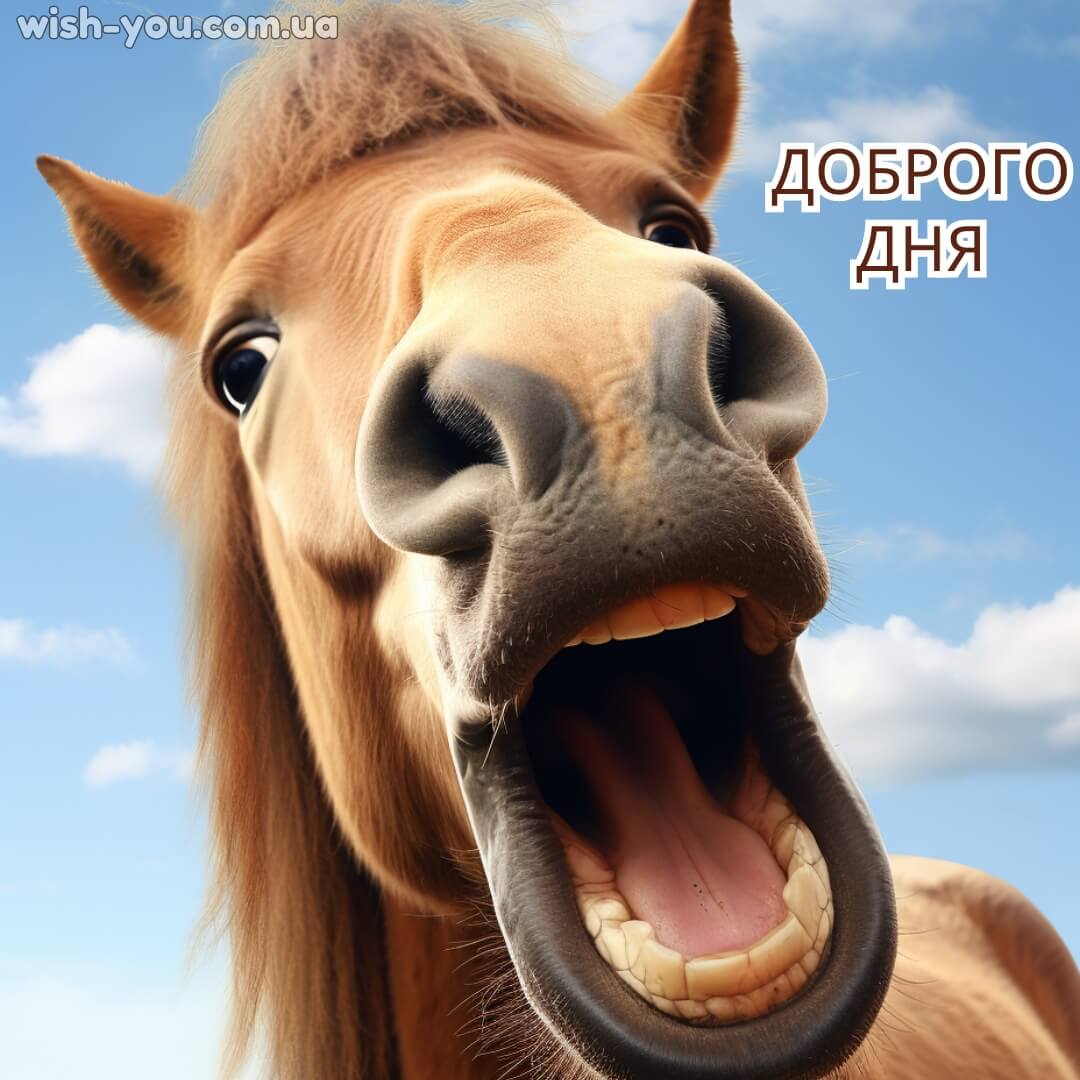 Нова картинка побажання доброго дня 3