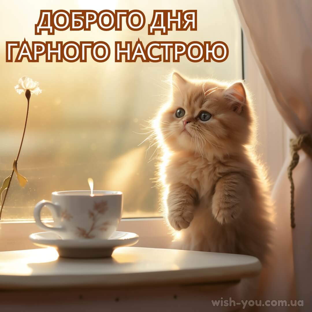 Нова картинка побажання доброго дня 9