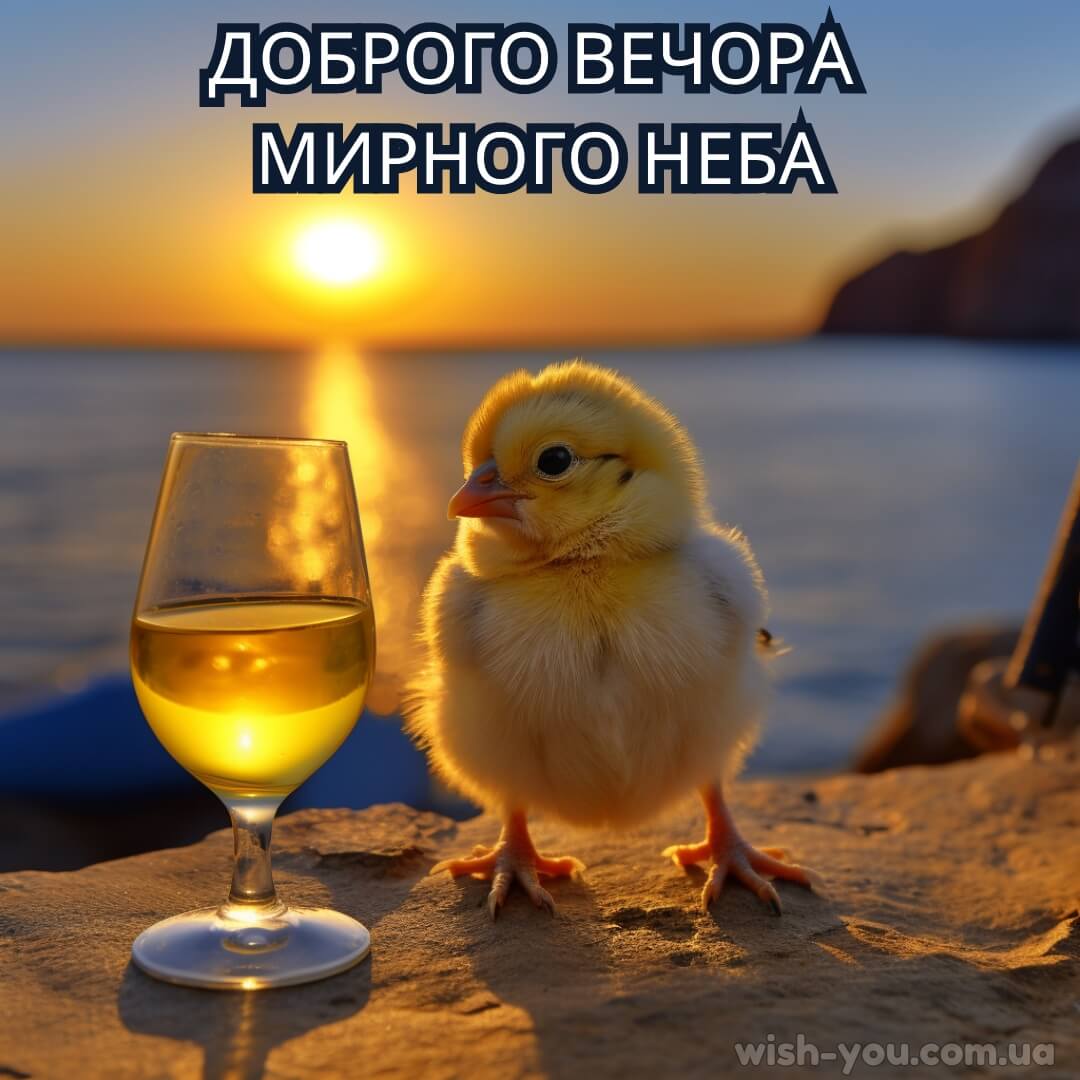 Нова картинка з добрим вечором 10