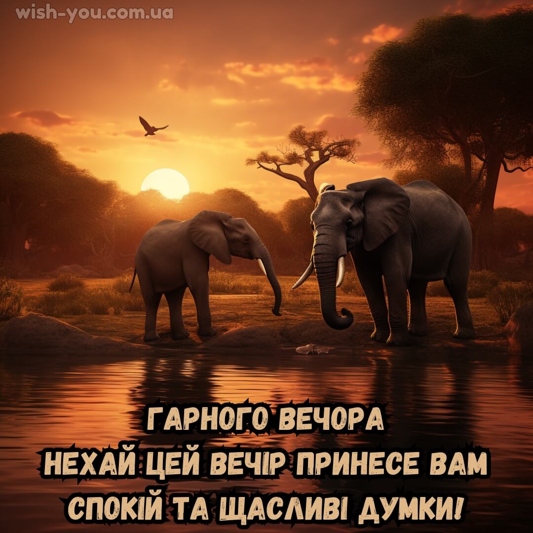 Нова картинка з добрим вечором 12