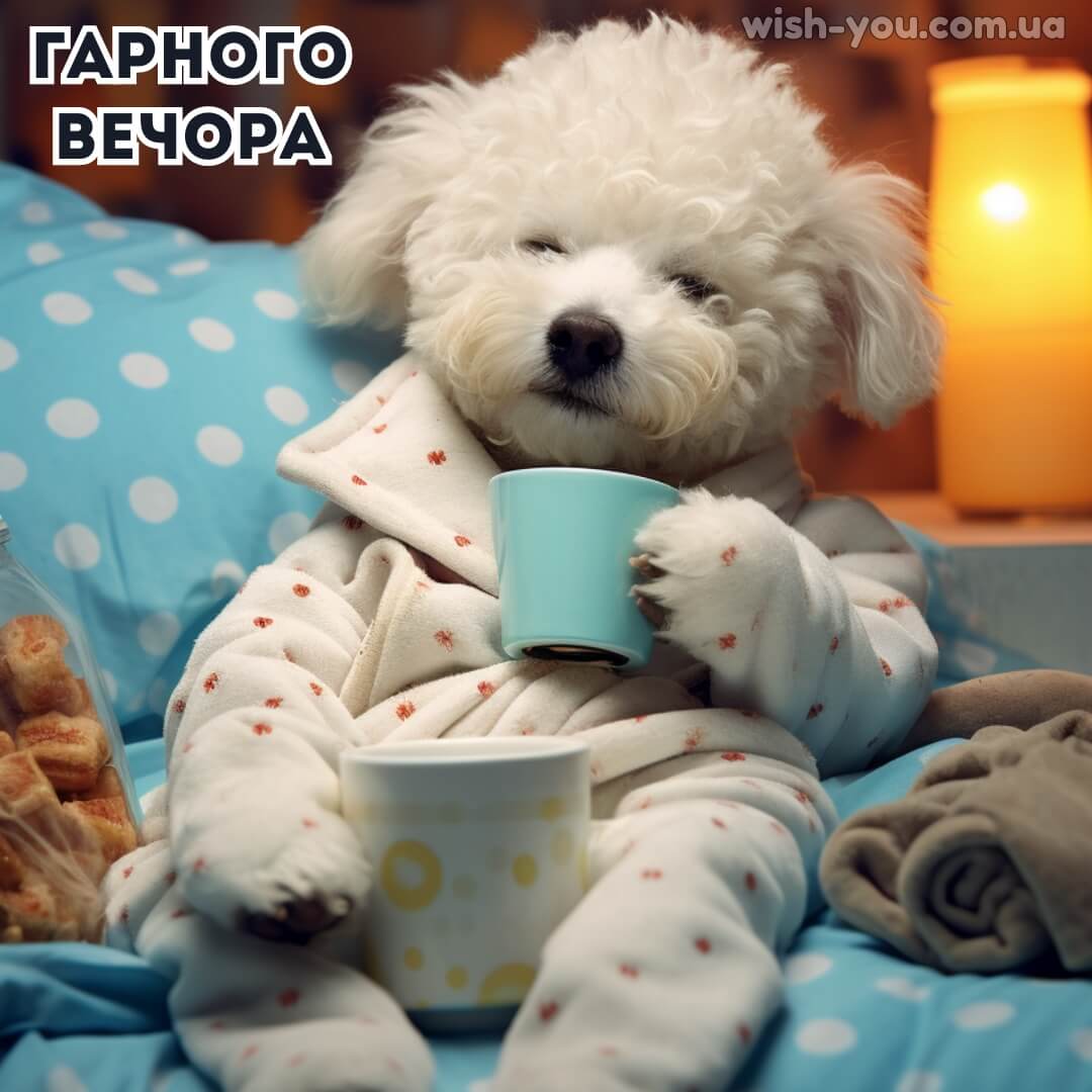 Нова картинка з добрим вечором 13