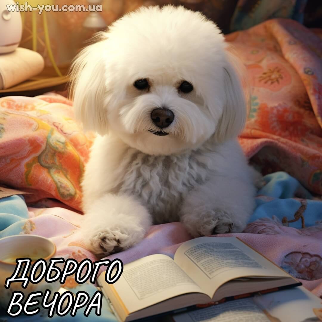 Нова картинка з добрим вечором 19