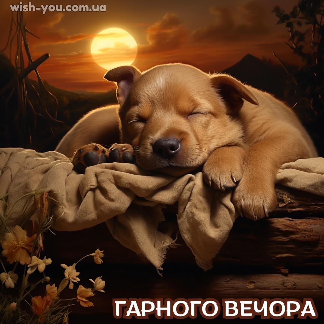 Нова картинка з добрим вечором 21