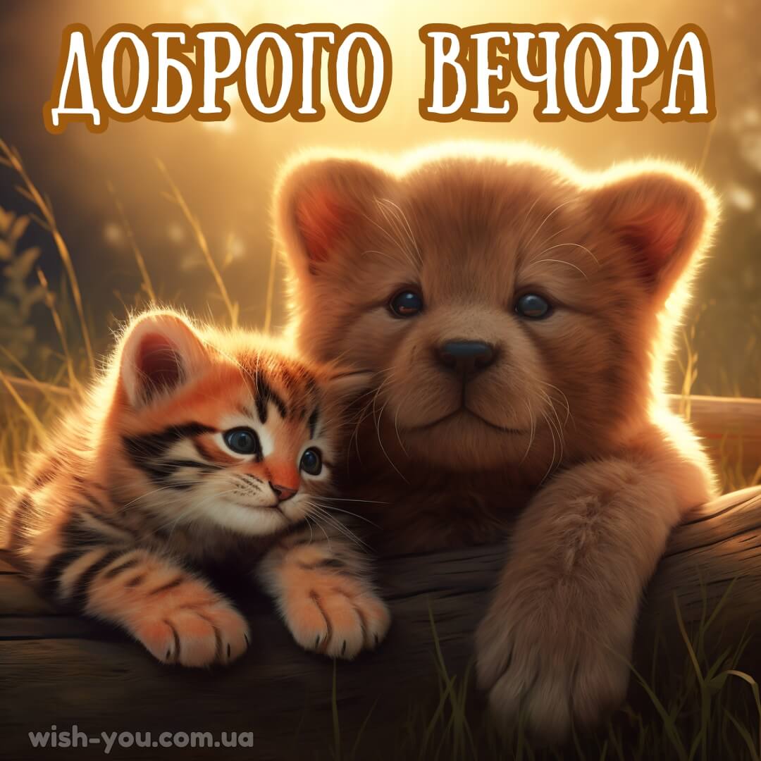 Нова картинка з добрим вечором 23