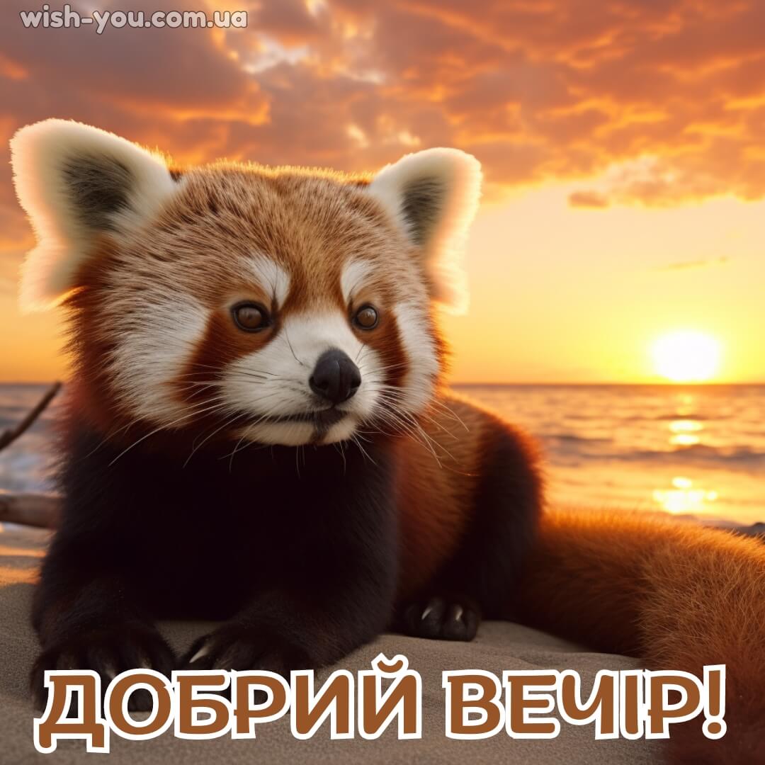 Нова картинка з добрим вечором 5