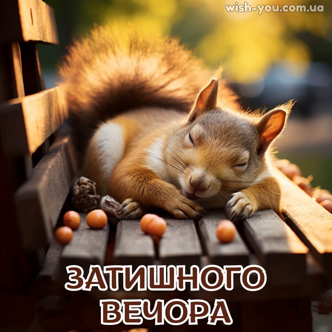 Нова картинка з добрим вечором 9