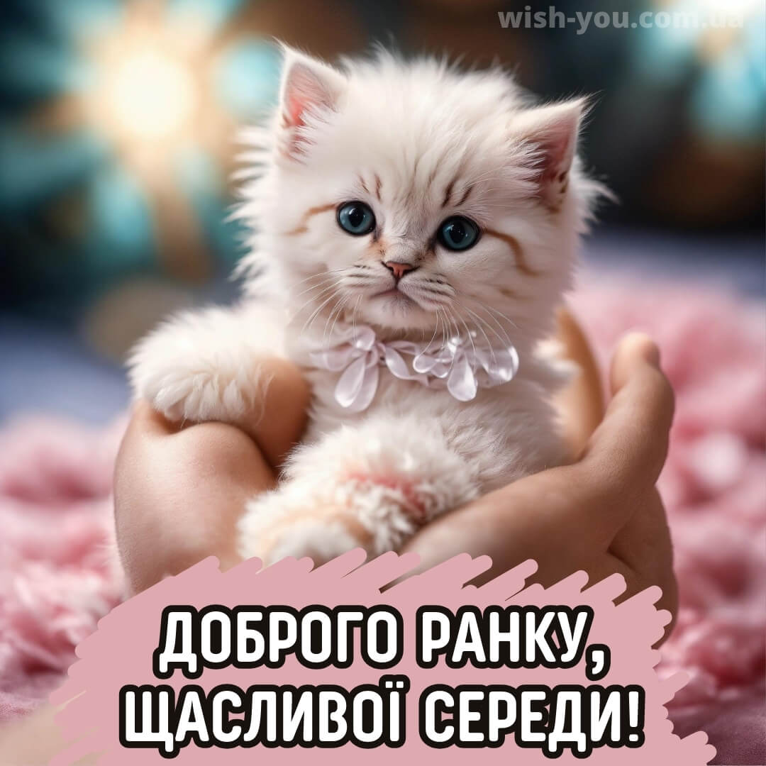 Нова листівка гарної середи 10