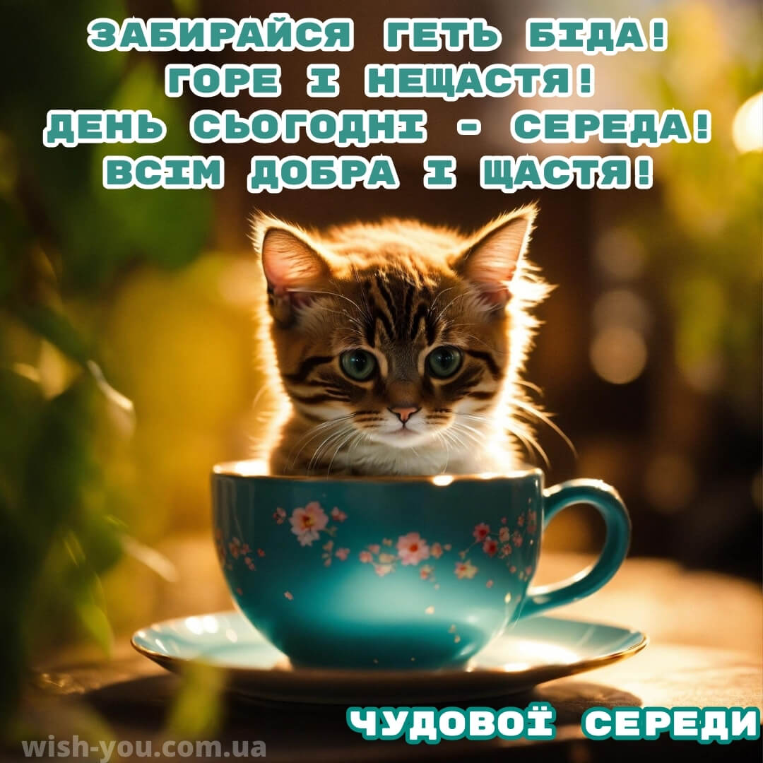 Нова листівка гарної середи 13