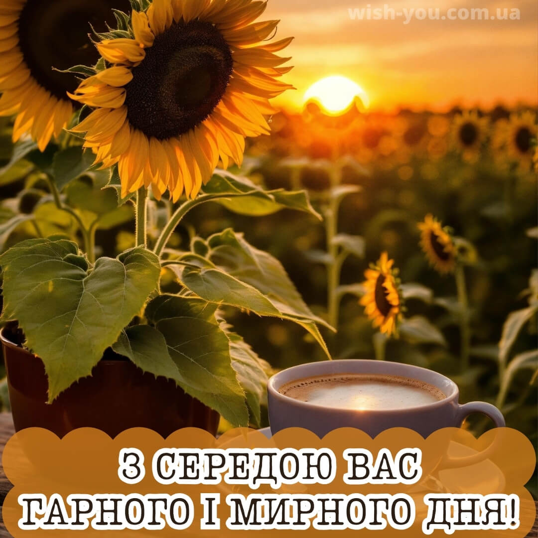 Нова листівка гарної середи 15