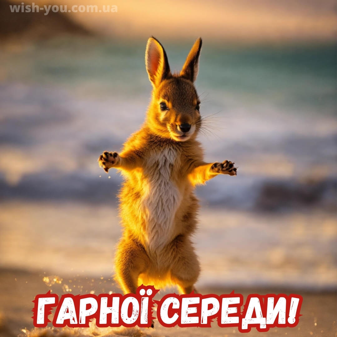 Нова листівка гарної середи 8