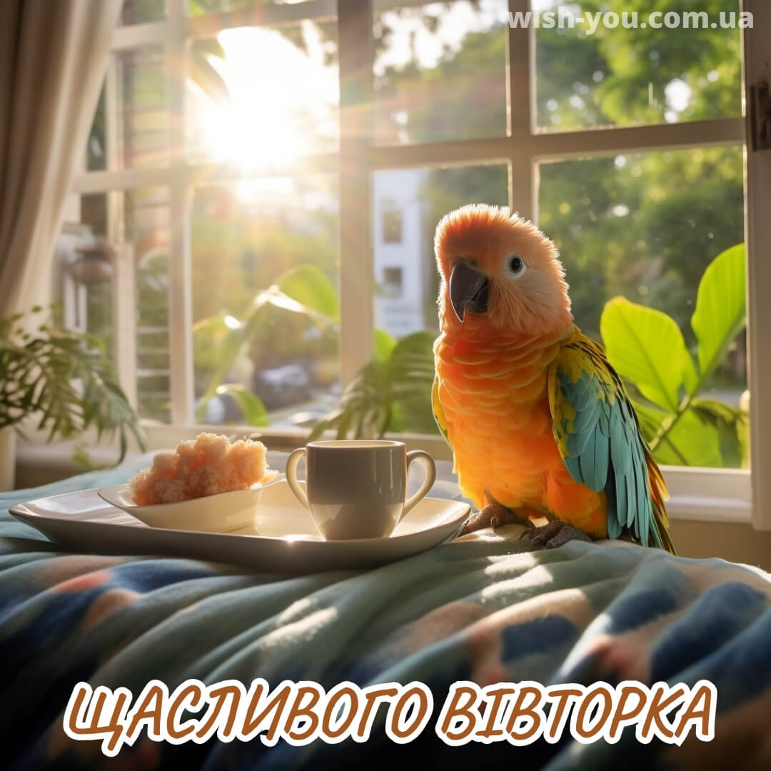 Нова листівка гарного вівторка 13