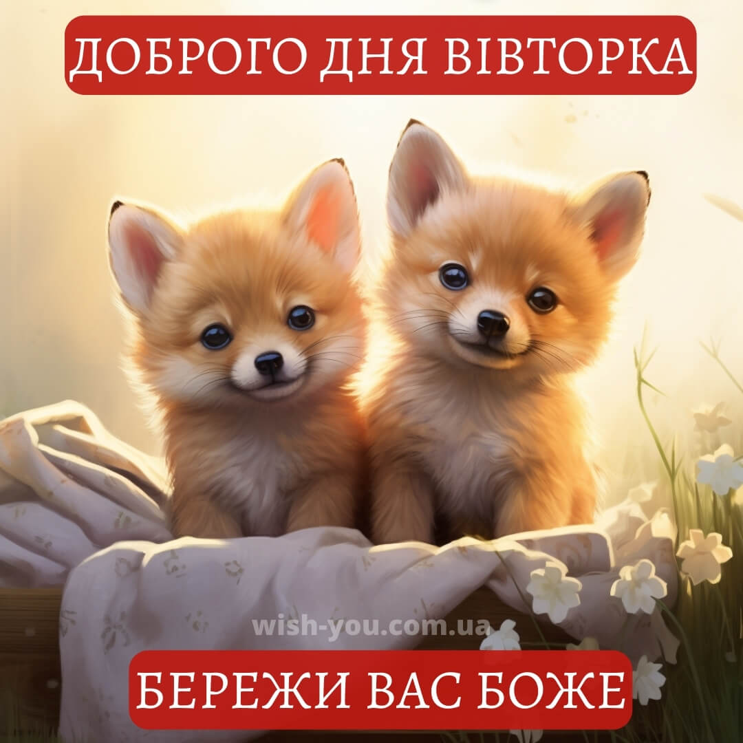 Нова листівка гарного вівторка 2