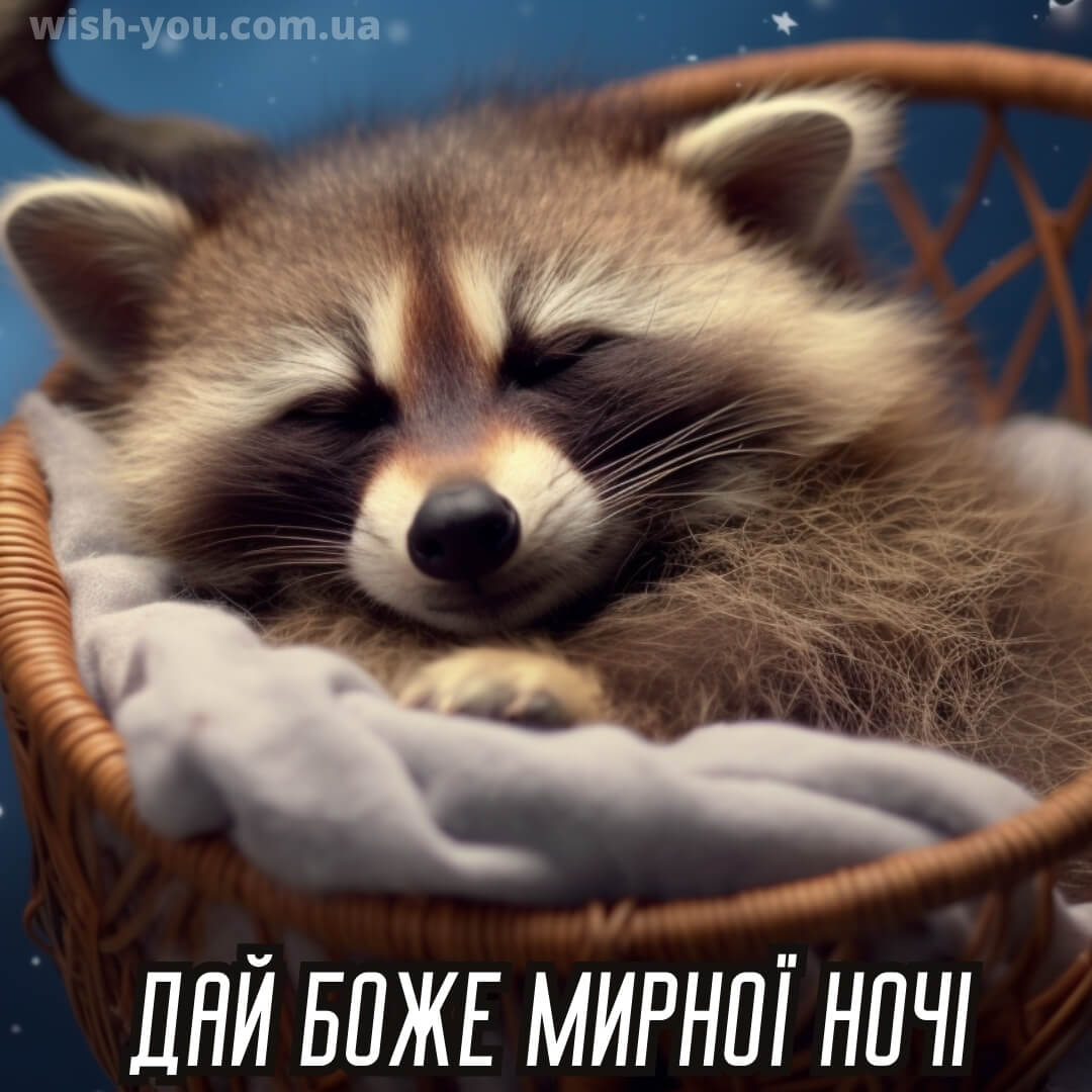 Нова картинка гарних снів 1