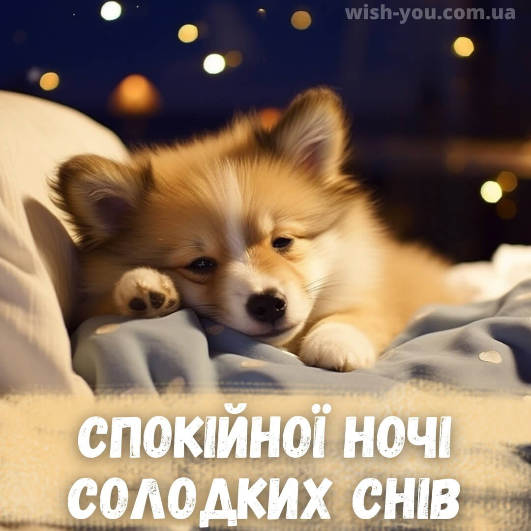 Нова картинка гарних снів 12