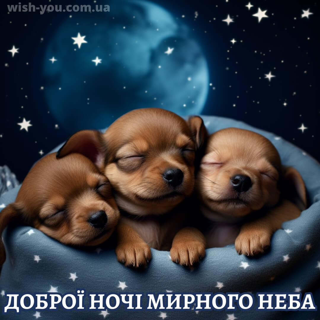 Нова картинка гарних снів 14