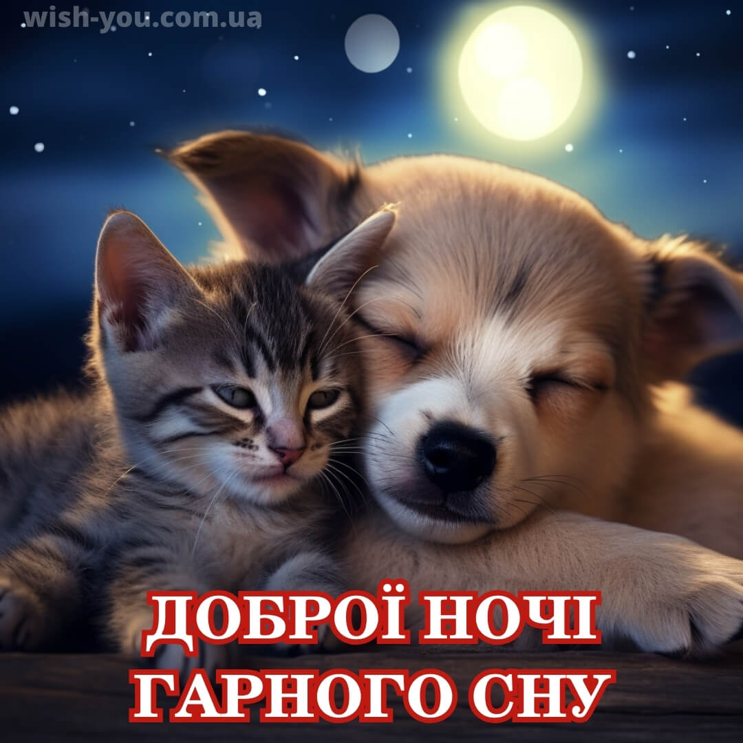 Нова картинка гарних снів 2