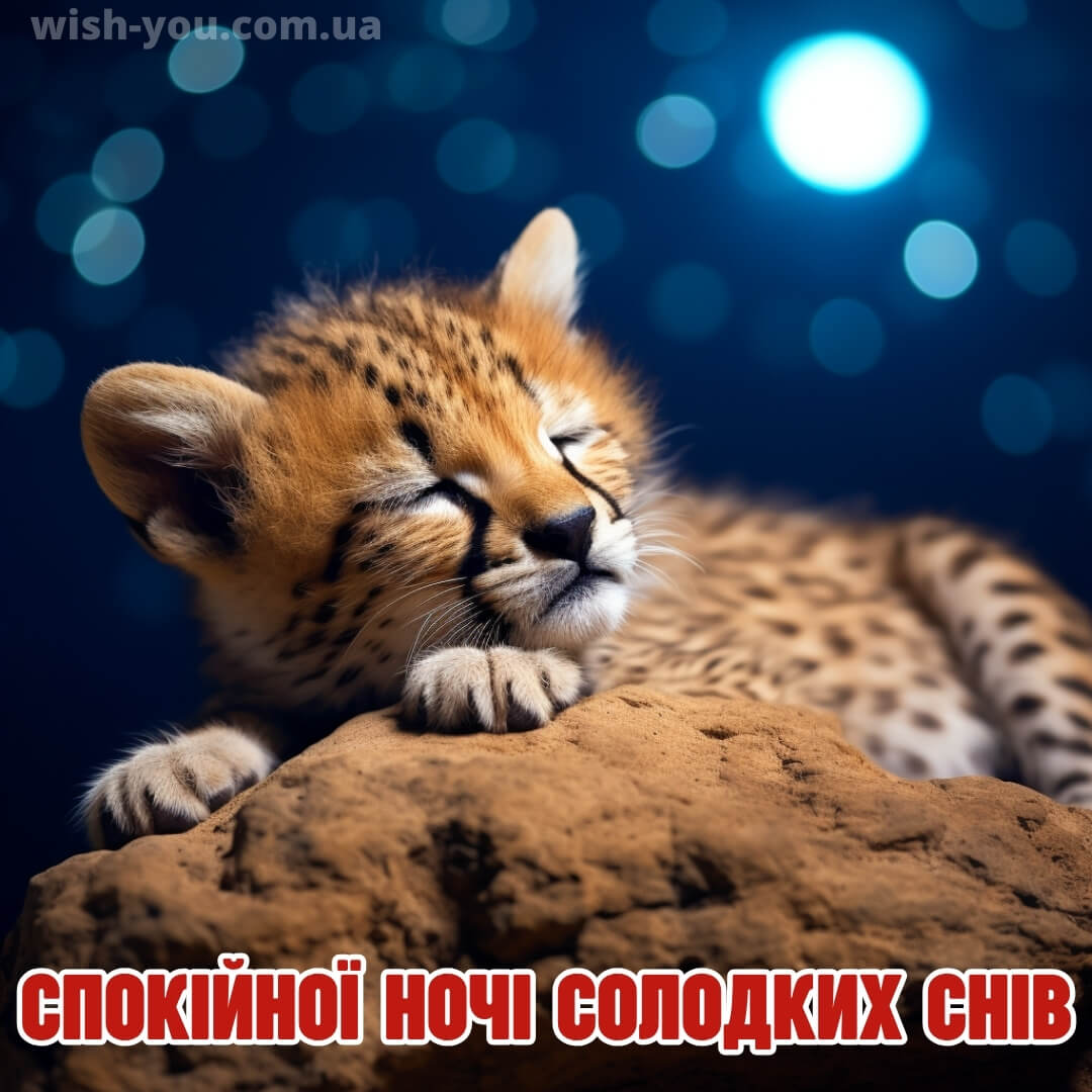 Нова картинка гарних снів 5