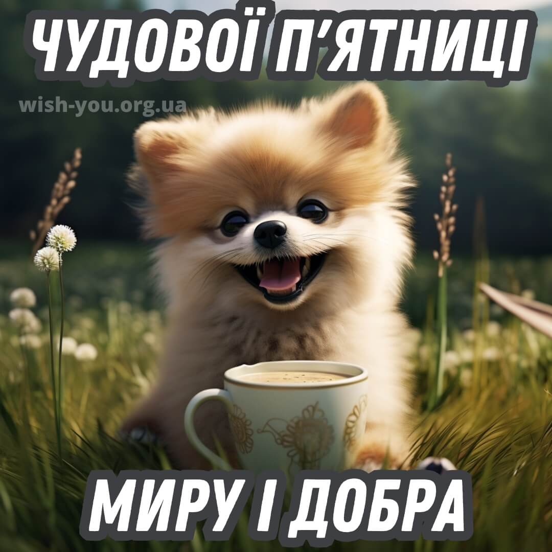 Нова листівка доброго ранку п'ятниці 4