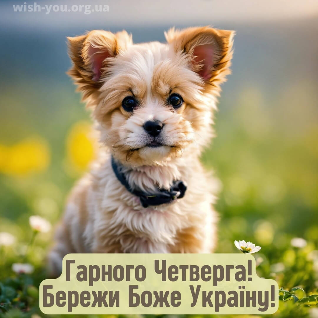 Нова листівка доброго ранку четверга 19