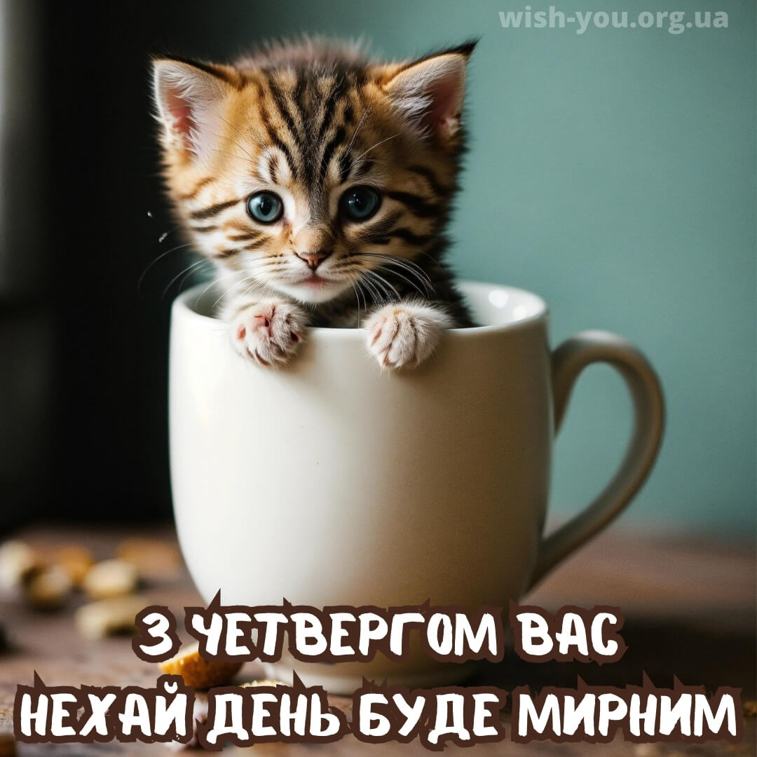 Нова листівка доброго ранку четверга 7