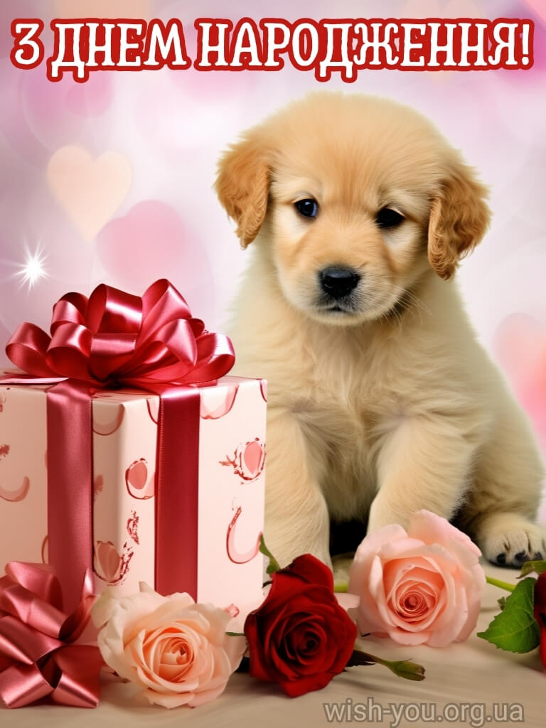 Нова картинка з днем народження кумі 4 скачати безкоштовно