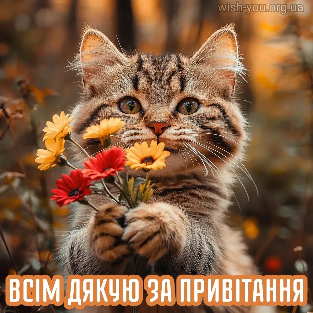 Нова листівка дякую за привітання 6