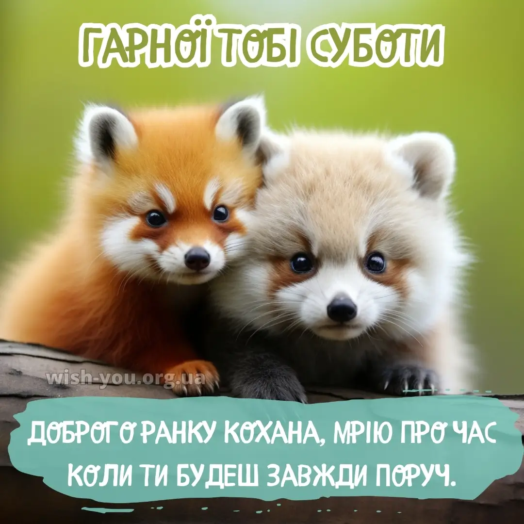 Нова картинка з суботою 20