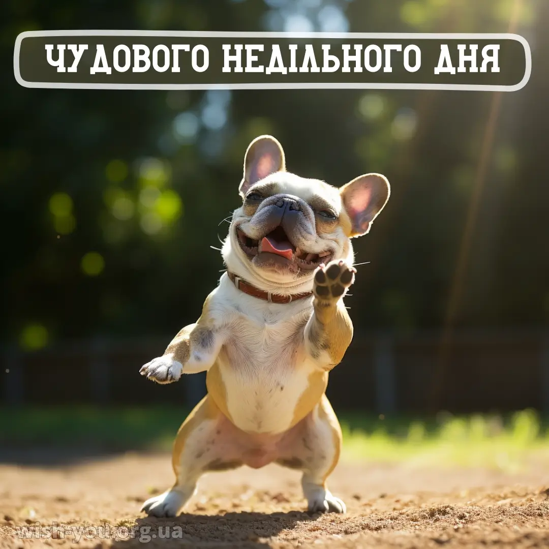 Нова листівка з вівторком 14