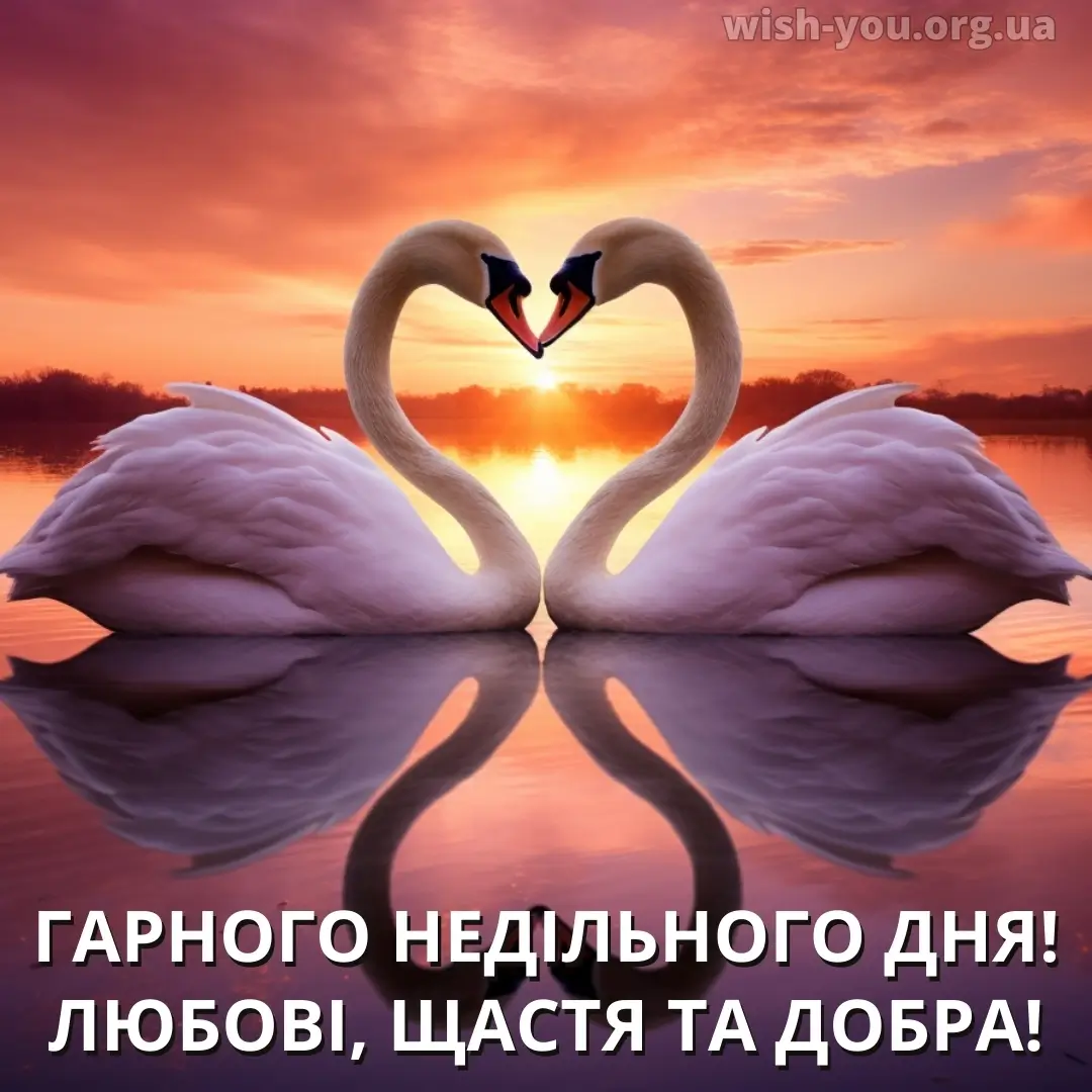 Нова листівка з вівторком 17