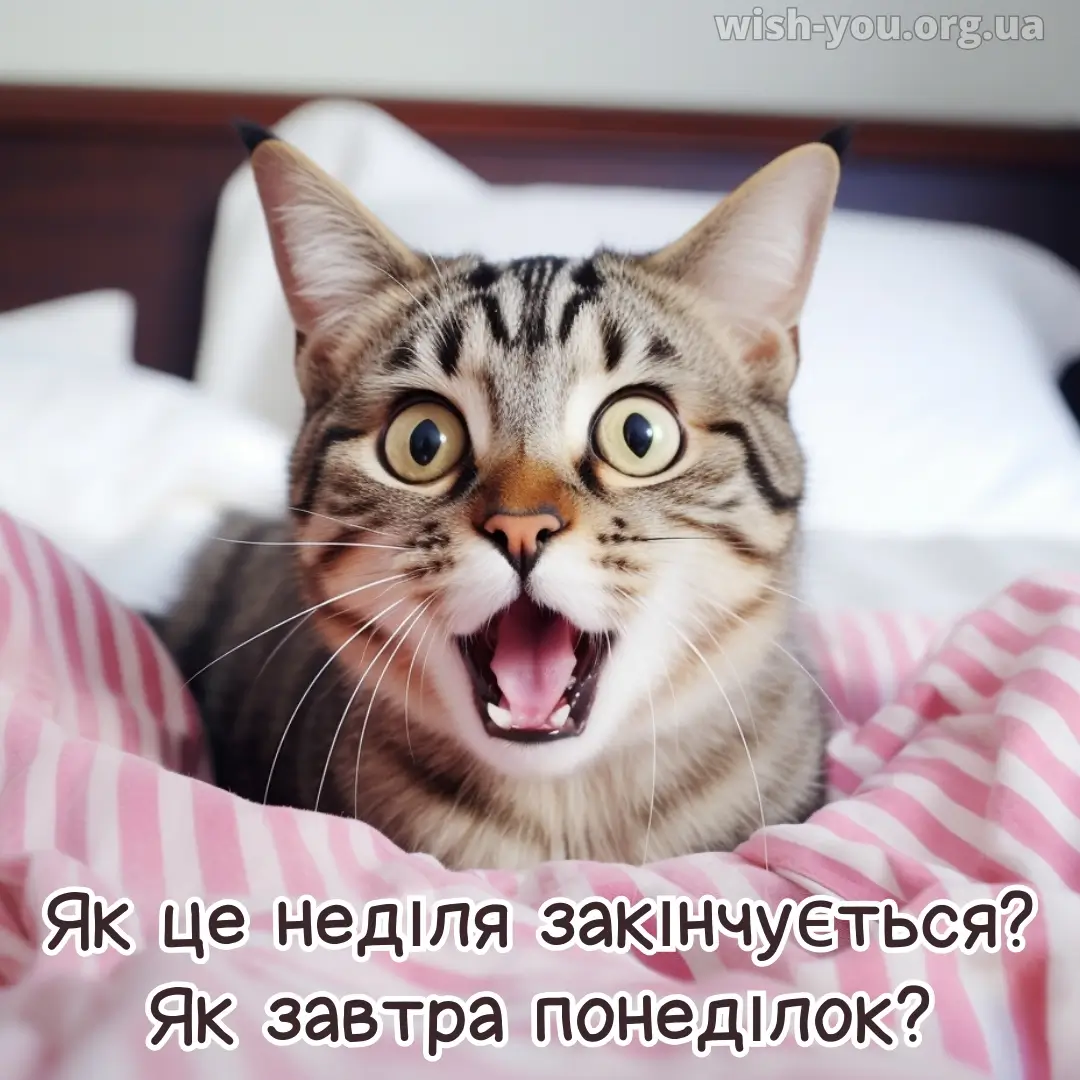 Нова листівка з вівторком 2