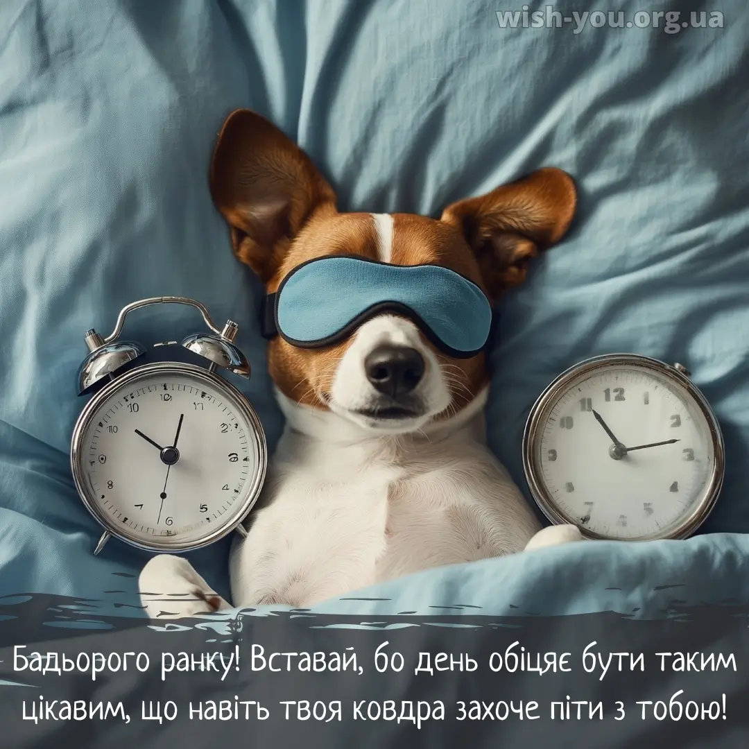 Нова листівка доброго ранку прикольна 18