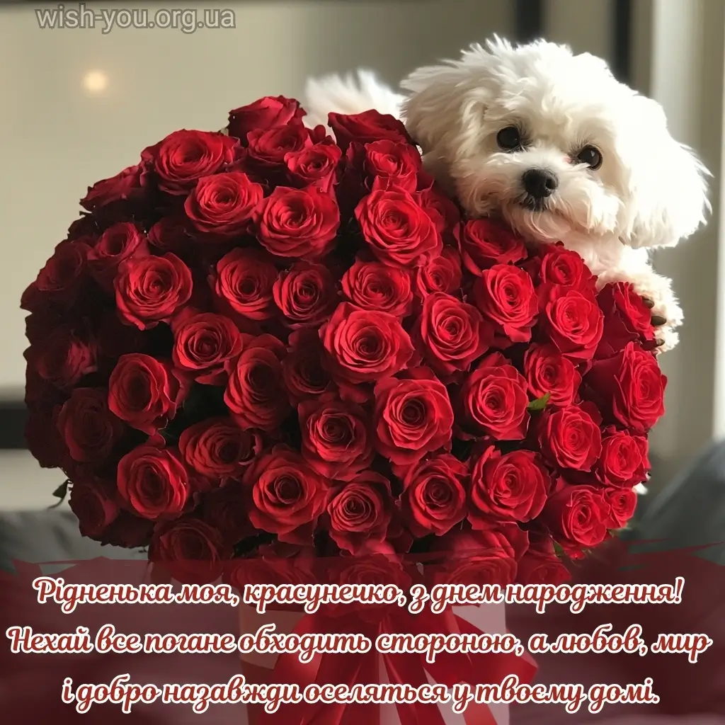 Нова листівка з днем народження красуня 14